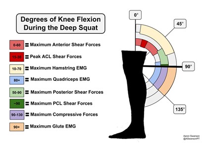 degrees-of-knee-flexion-during-deep-squat